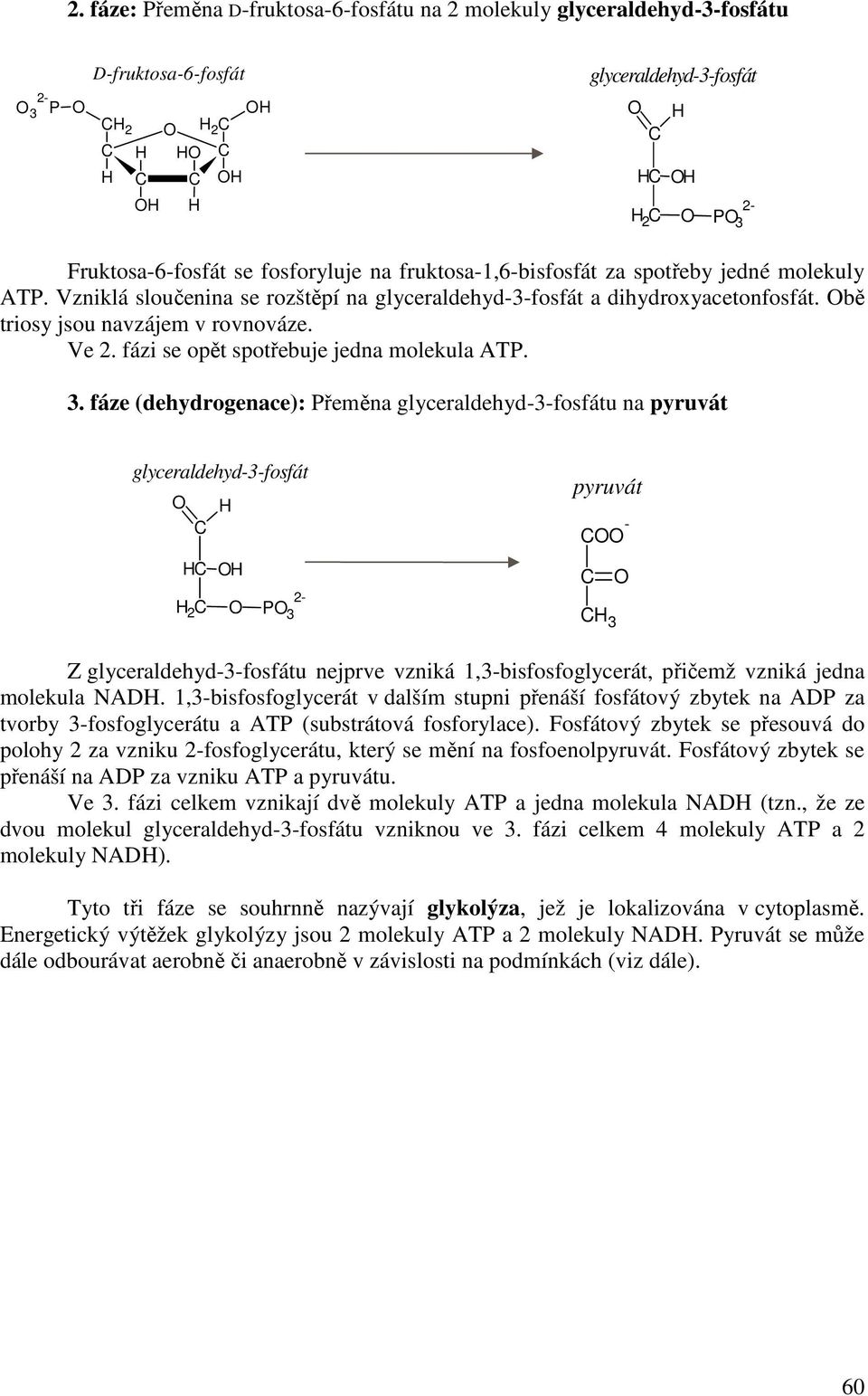 fáze (dehydrogenace): Přeměna glyceraldehyd-3-fosfátu na pyruvát glyceraldehyd-3-fosfát 2 P 3 pyruvát - 3 Z glyceraldehyd-3-fosfátu nejprve vzniká 1,3-bisfosfoglycerát, přičemž vzniká jedna molekula