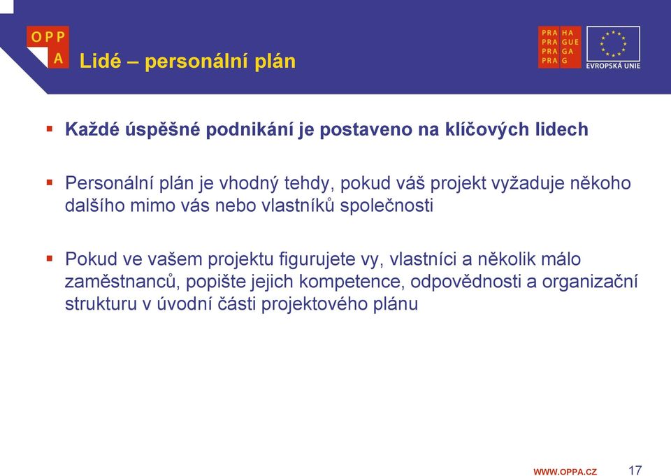 společnosti Pokud ve vašem projektu figurujete vy, vlastníci a několik málo zaměstnanců,