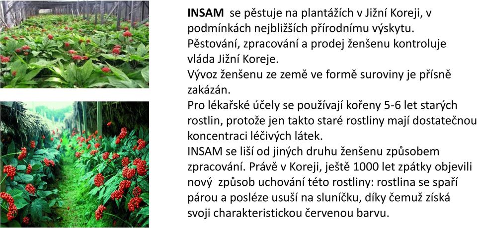 Pro lékařské účely se používají kořeny 5-6 let starých rostlin, protože jen takto staré rostliny mají dostatečnou koncentraci léčivých látek.