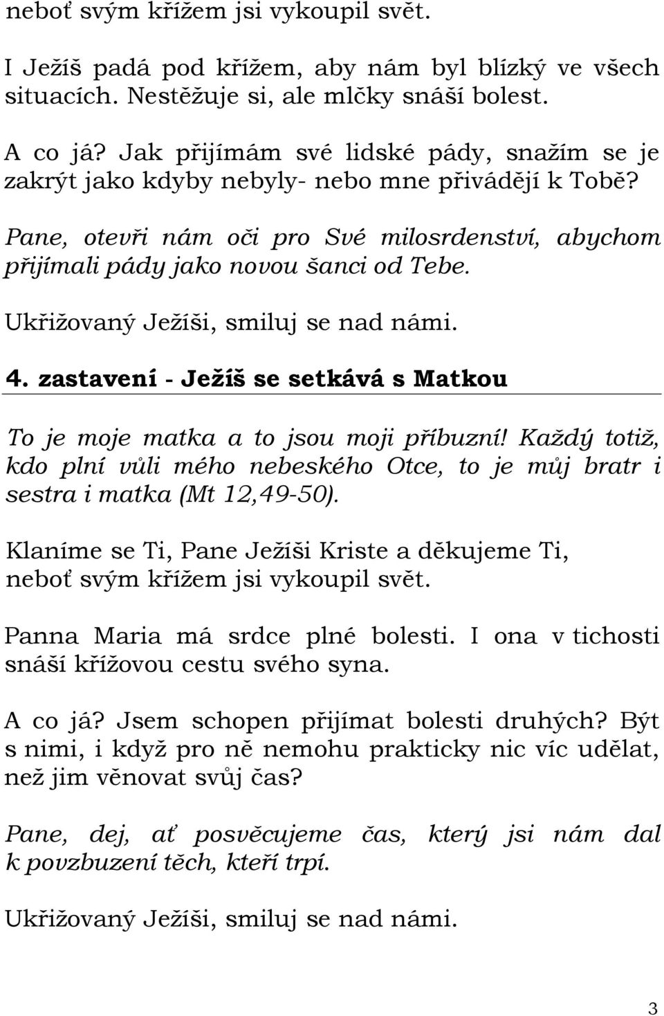 zastavení - Ježíš se setkává s Matkou To je moje matka a to jsou moji příbuzní! Každý totiž, kdo plní vůli mého nebeského Otce, to je můj bratr i sestra i matka (Mt 12,49-50).