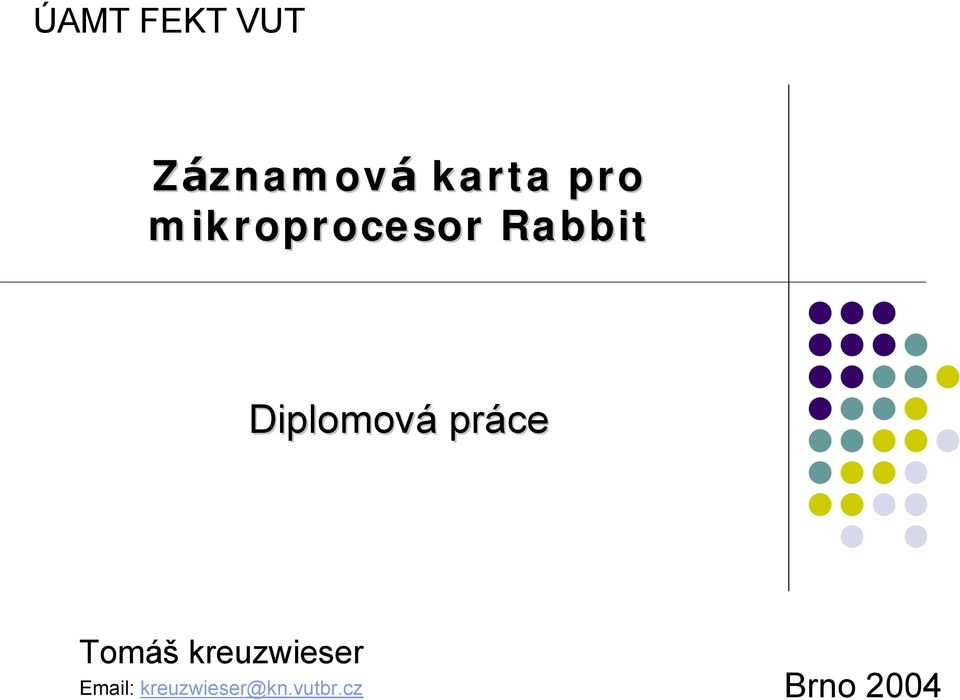 Diplomová prá ce Tomá
