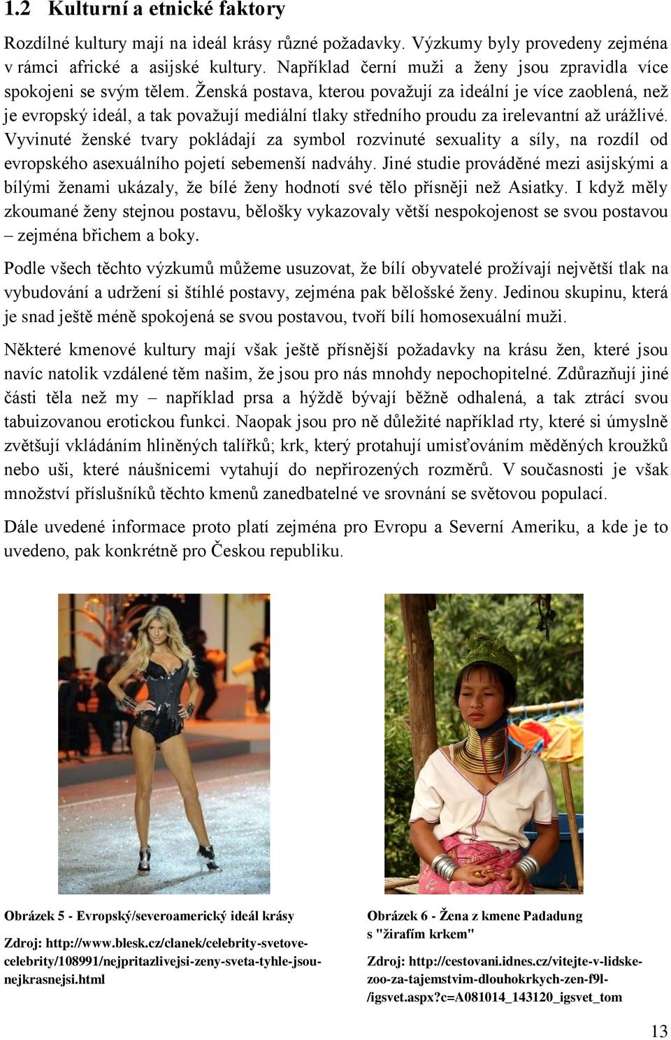 Ţenská postava, kterou povaţují za ideální je více zaoblená, neţ je evropský ideál, a tak povaţují mediální tlaky středního proudu za irelevantní aţ uráţlivé.