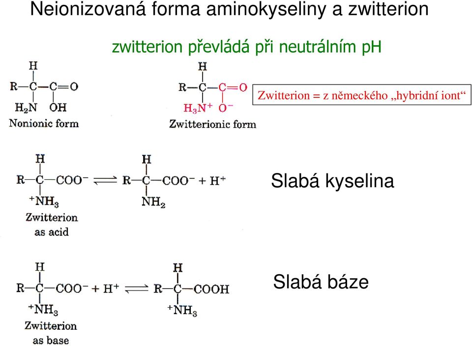 neutrálním ph Zwitterion = z