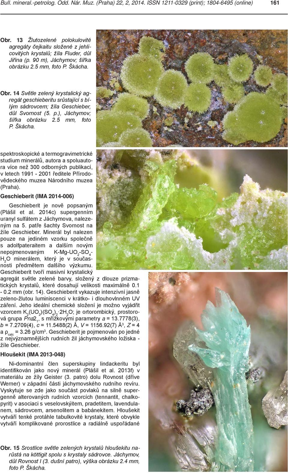 14 Světle zelený krystalický agregát geschieberitu srůstající s bílým sádrovcem; žíla Geschieber, důl Svornost (5. p.), Jáchymov; šířka obrázku 2.5 mm, foto P. Škácha.