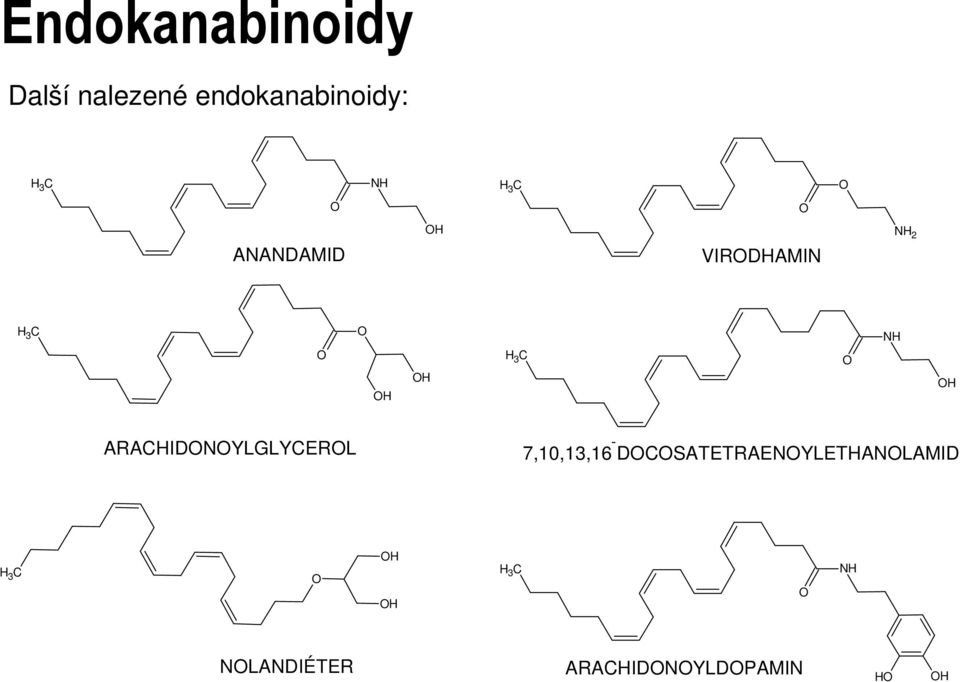 NH H 3 C ARACHIDNYLGLYCERL 7,10,13,16 -