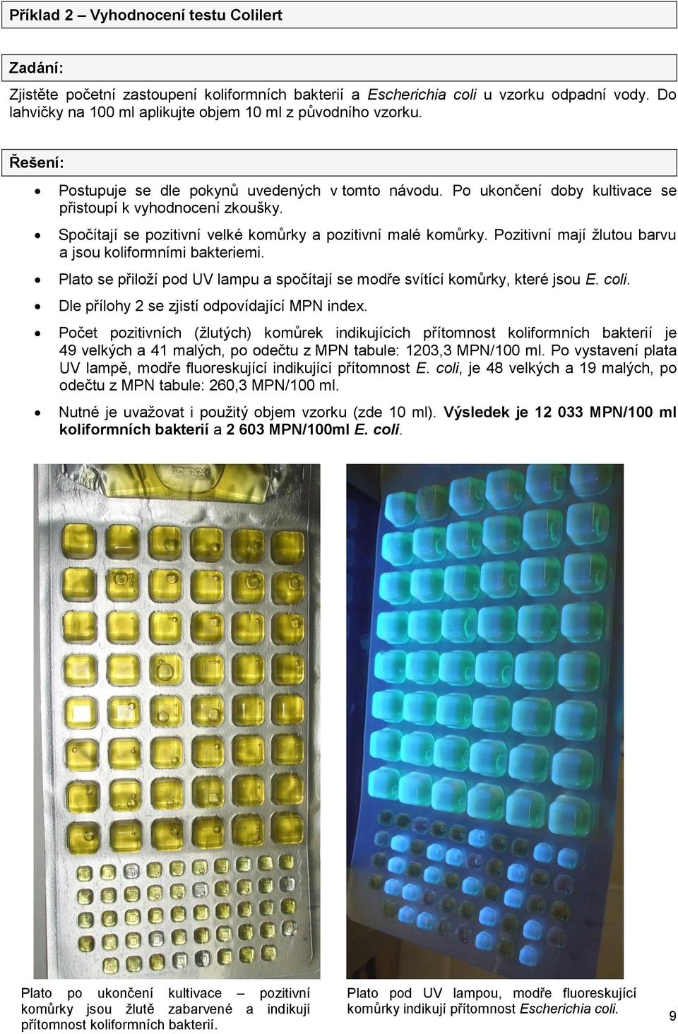 Pozitivní mají žlutou barvu a jsou koliformními bakteriemi. Plato se přiloží pod UV lampu a spočítají se modře svítící komůrky, které jsou E. coli. Dle přílohy 2 se zjistí odpovídající MP index.