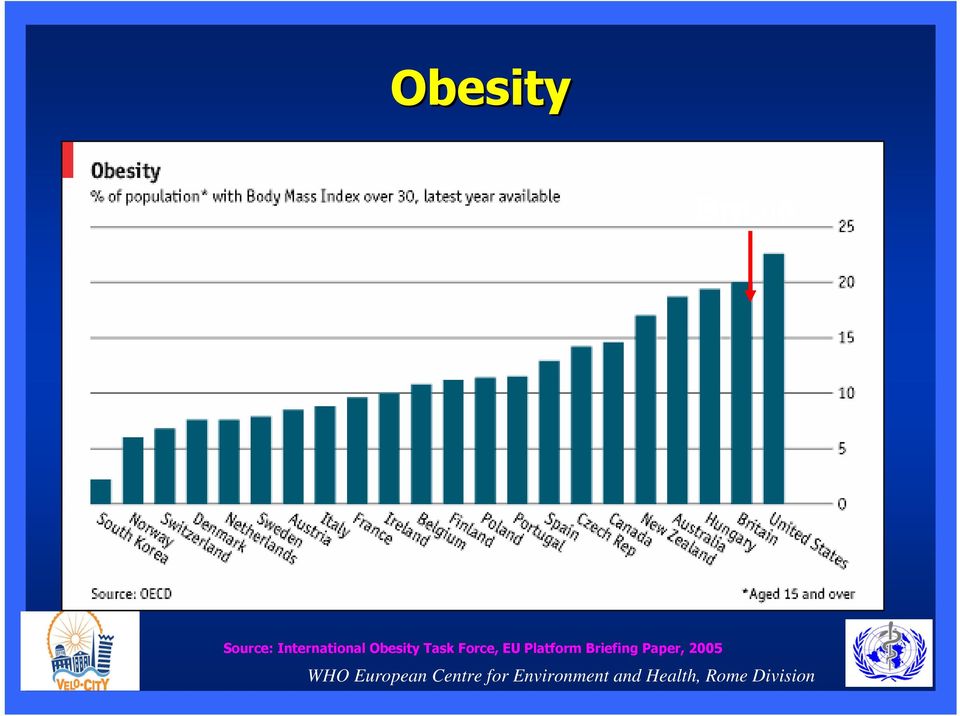 Obesity Task Force, EU