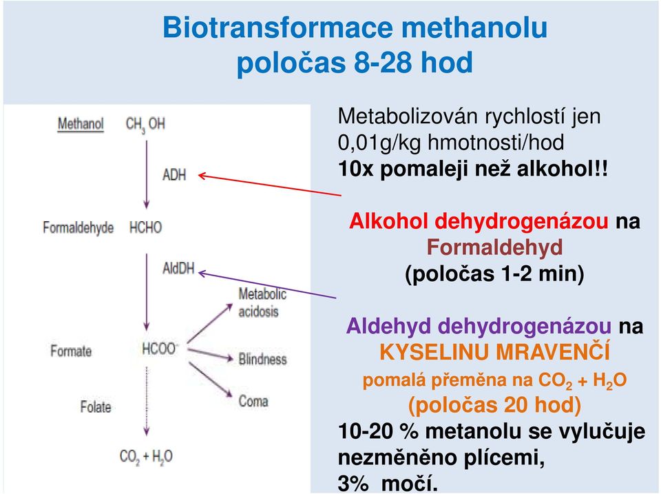 ! Alkohol dehydrogenázou na Formaldehyd (poločas 1-2 min) Aldehyd dehydrogenázou