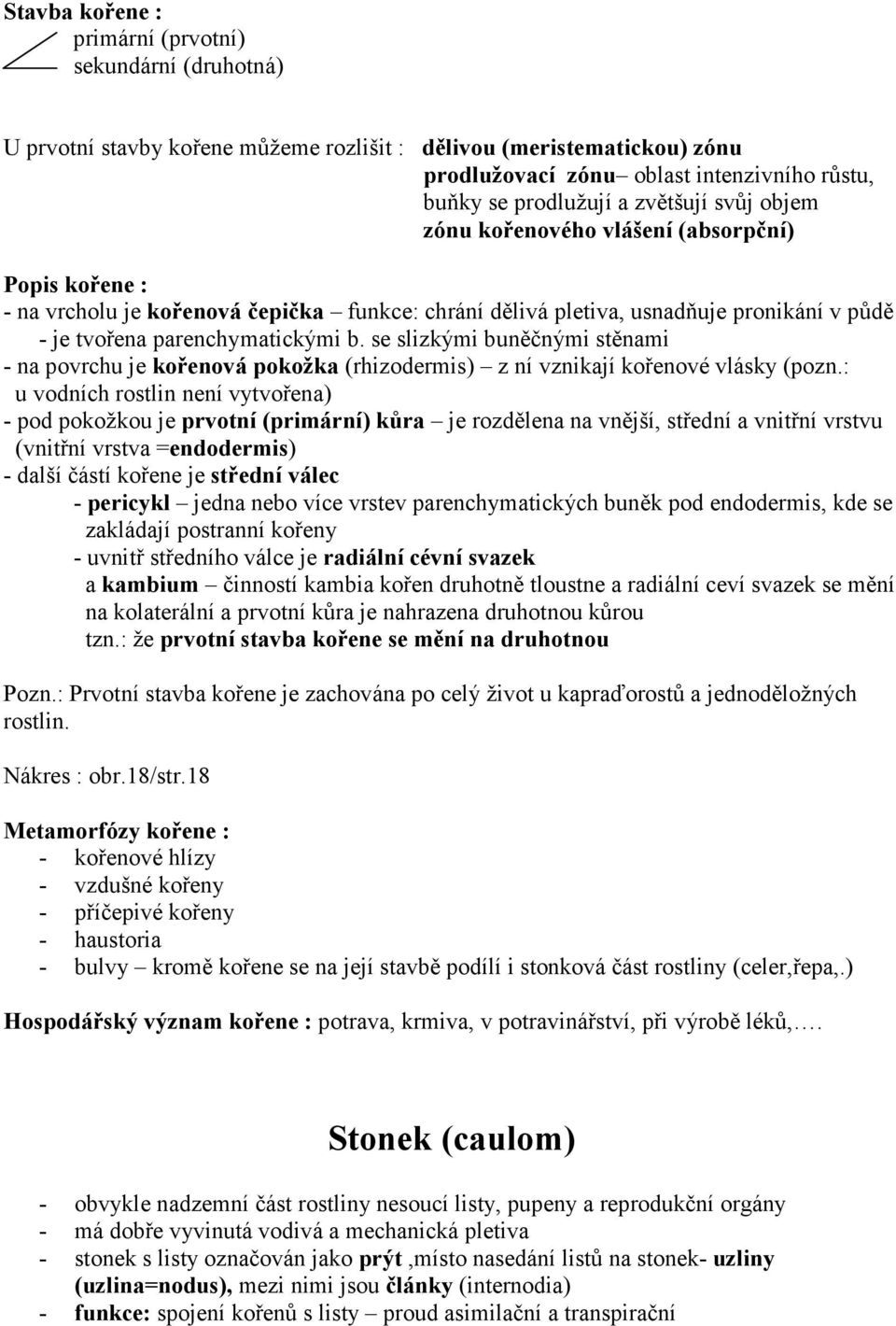 se slizkými buněčnými stěnami - na povrchu je kořenová pokožka (rhizodermis) z ní vznikají kořenové vlásky (pozn.