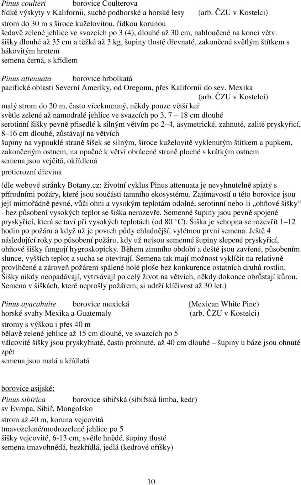 šišky dlouhé až 35 cm a těžké až 3 kg, šupiny tlustě dřevnaté, zakončené světlým štítkem s hákovitým hrotem semena černá, s křídlem Pinus attenuata borovice hrbolkatá pacifické oblasti Severní