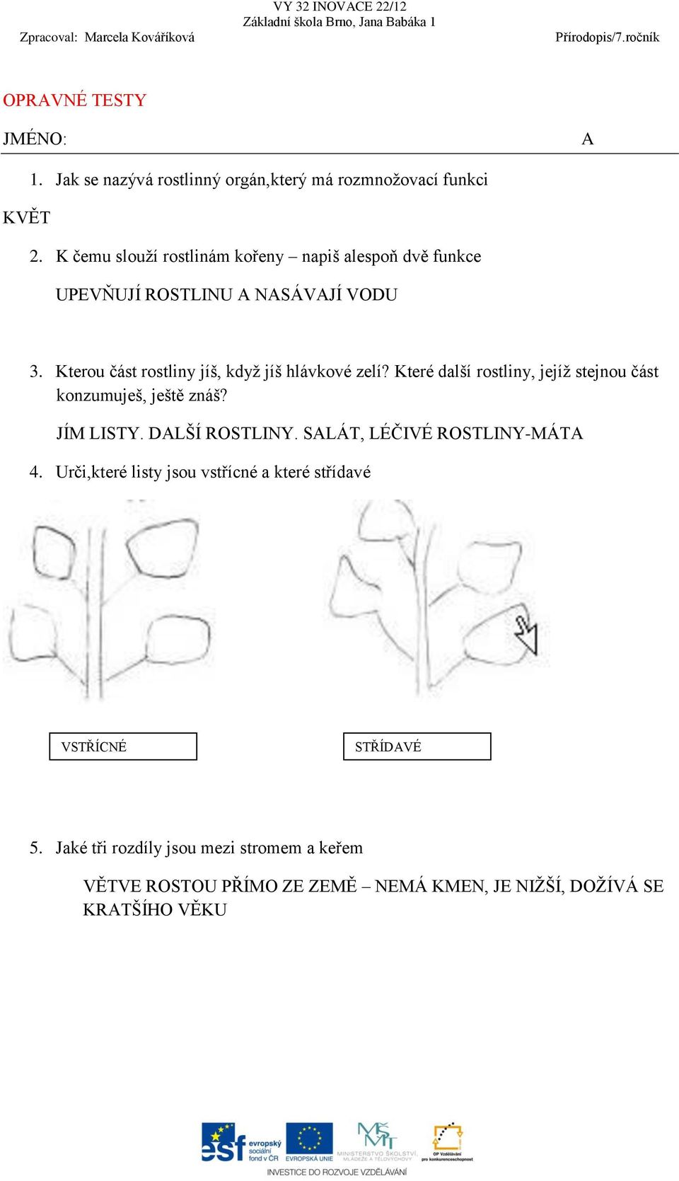 Kterou část rostliny jíš, když jíš hlávkové zelí? Které další rostliny, jejíž stejnou část konzumuješ, ještě znáš? JÍM LISTY.