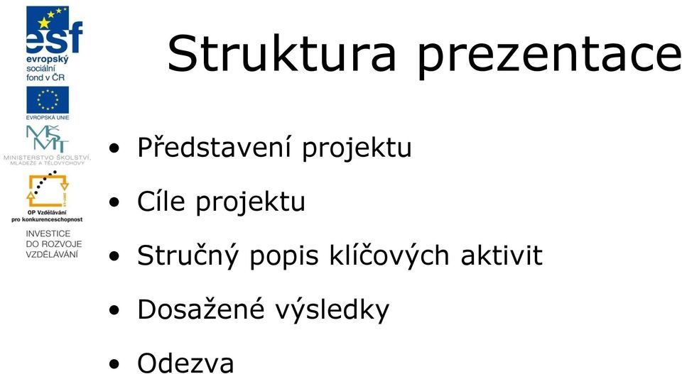 projektu Stručný popis