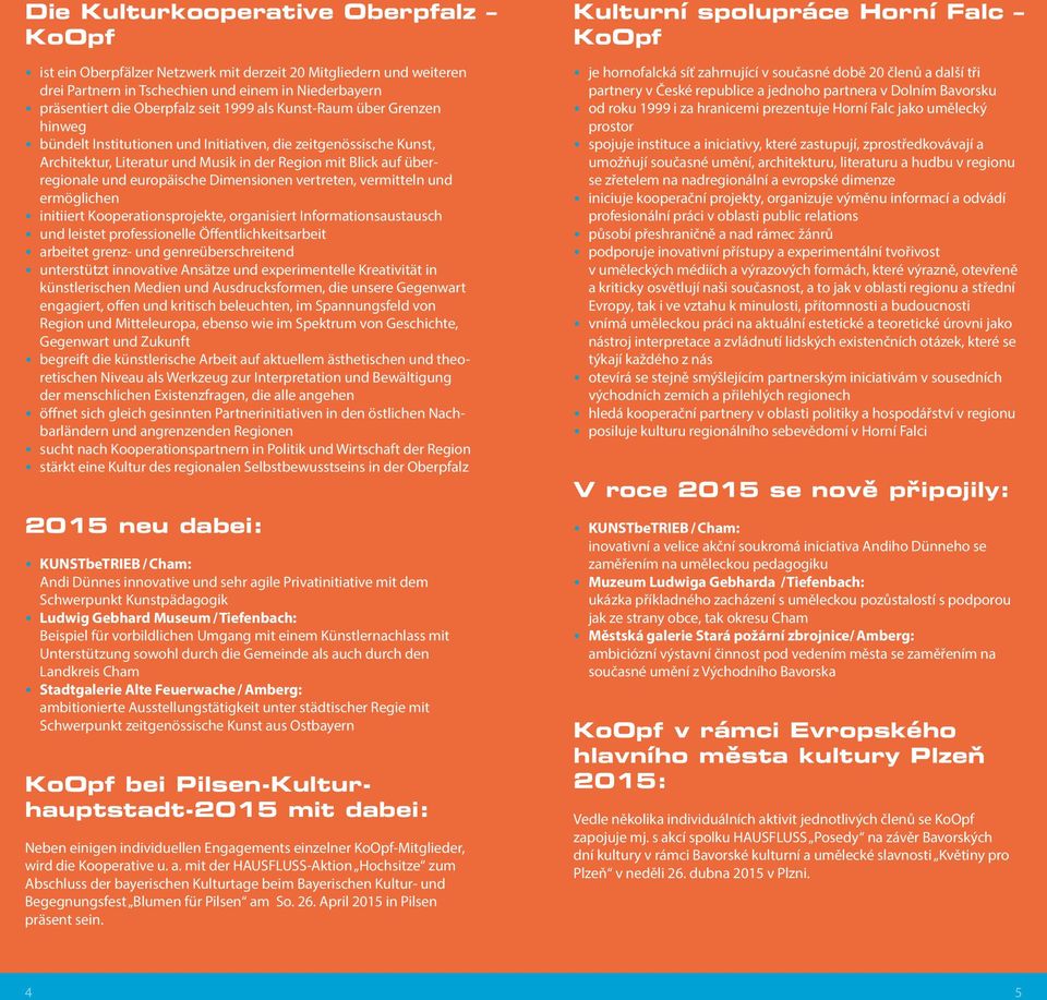 Dimensionen vertreten, vermitteln und ermöglichen initiiert Kooperationsprojekte, organisiert Informationsaustausch und leistet professionelle Öffentlichkeitsarbeit arbeitet grenz- und