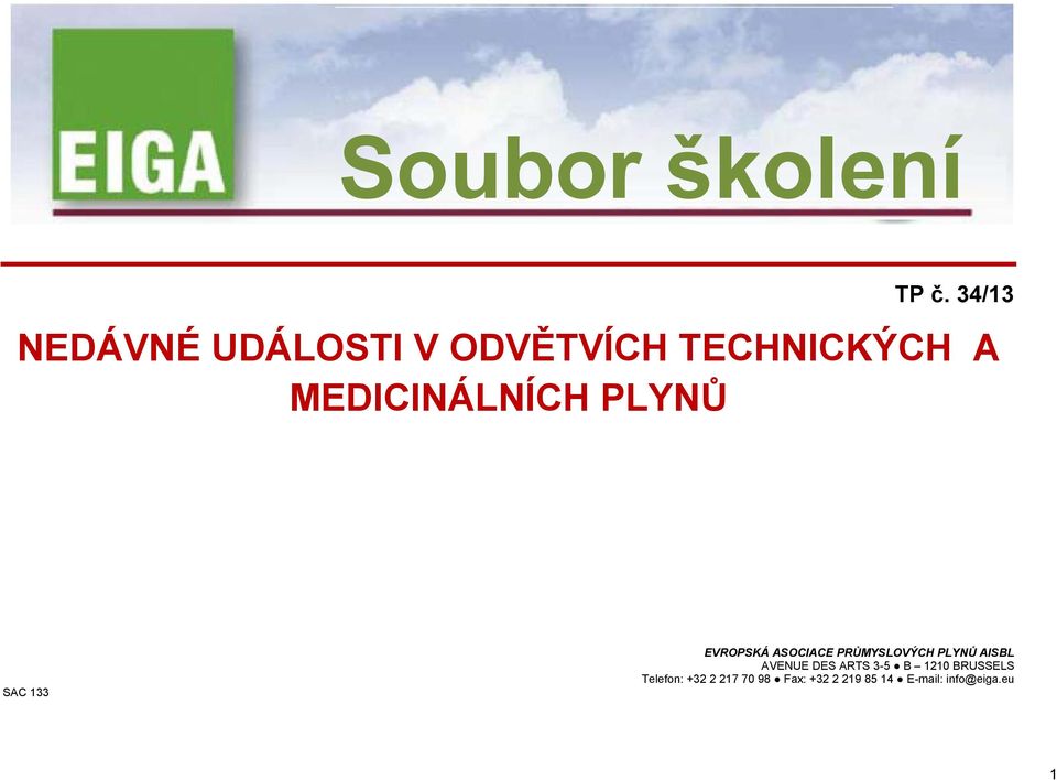 MEDICINÁLNÍCH PLYNŮ SAC 133 EVROPSKÁ ASOCIACE PRŮMYSLOVÝCH