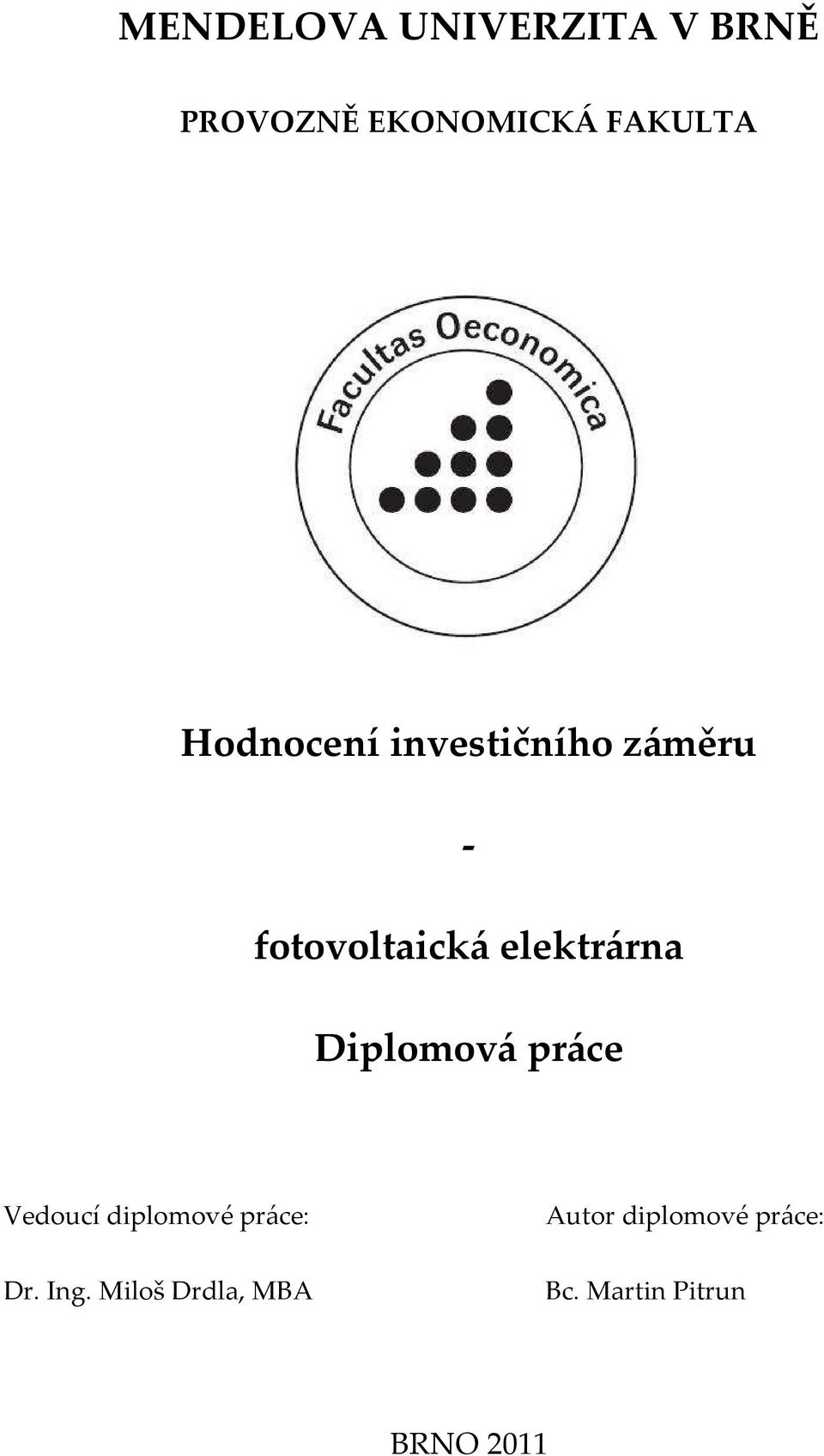 Diplomová práce Vedoucí diplomové práce: Dr. Ing.