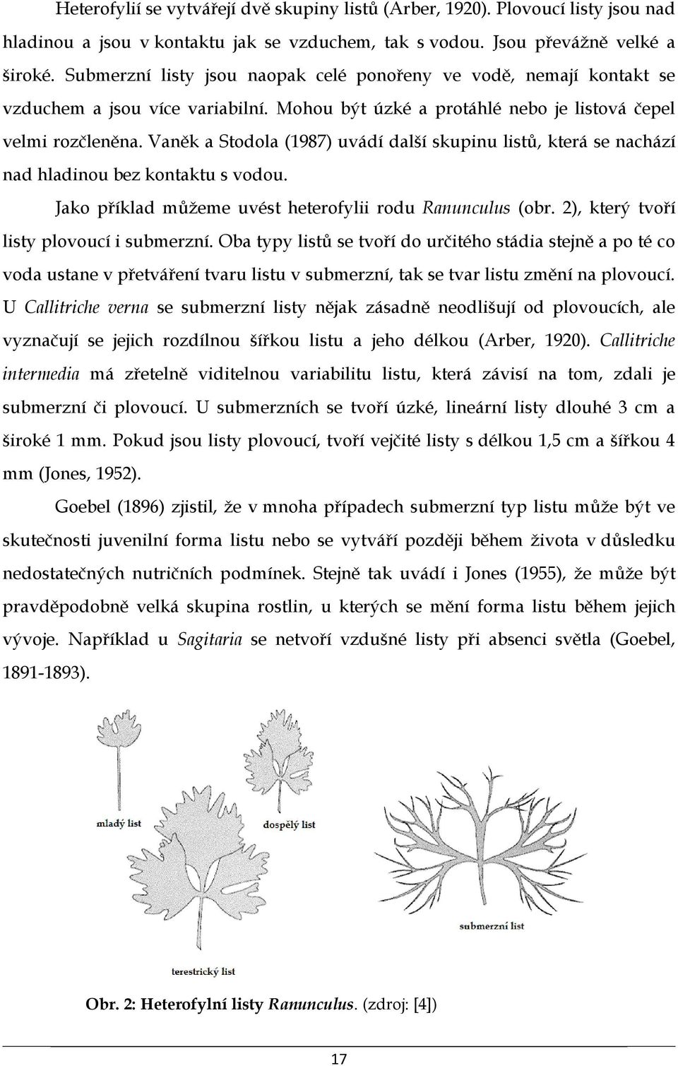 Vaněk a Stodola (1987) uvádí další skupinu listů, která se nachází nad hladinou bez kontaktu s vodou. Jako příklad můžeme uvést heterofylii rodu Ranunculus (obr.
