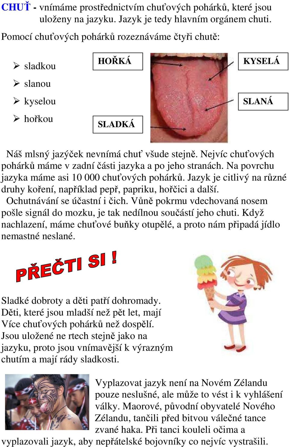 Nejvíc chuťových pohárků máme v zadní části jazyka a po jeho stranách. Na povrchu jazyka máme asi 10 000 chuťových pohárků.