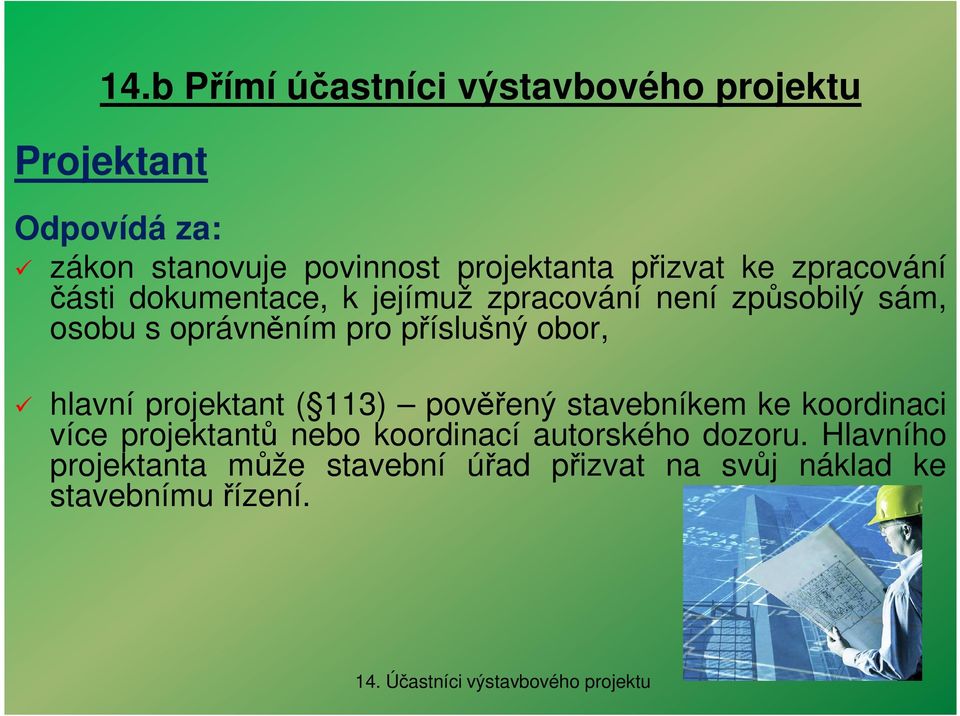 hlavní projektant ( 113) pověřený stavebníkem ke koordinaci více projektantů nebo koordinací