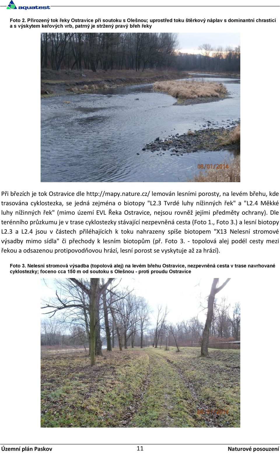 http://mapy.nature.cz/ lemován lesními porosty, na levém břehu, kde trasována cyklostezka, se jedná zejména o biotopy "L2.3 Tvrdé luhy nížinných řek" a "L2.