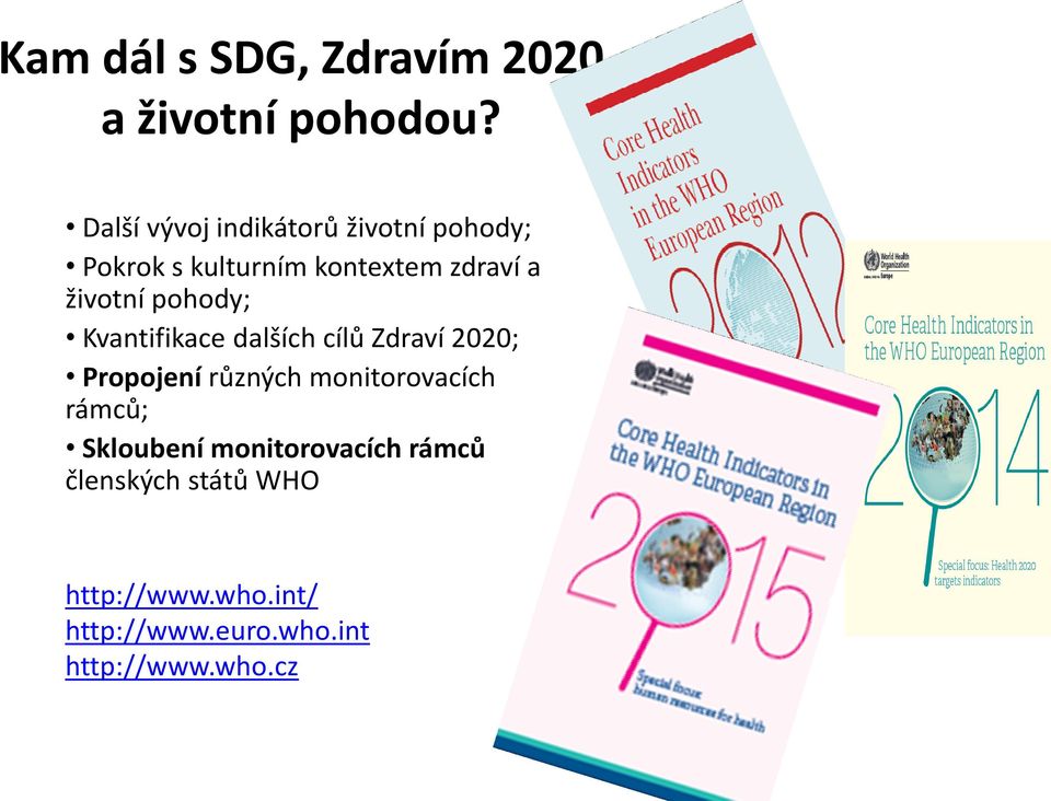 životní pohody; Kvantifikace dalších cílů Zdraví 2020; Propojení různých