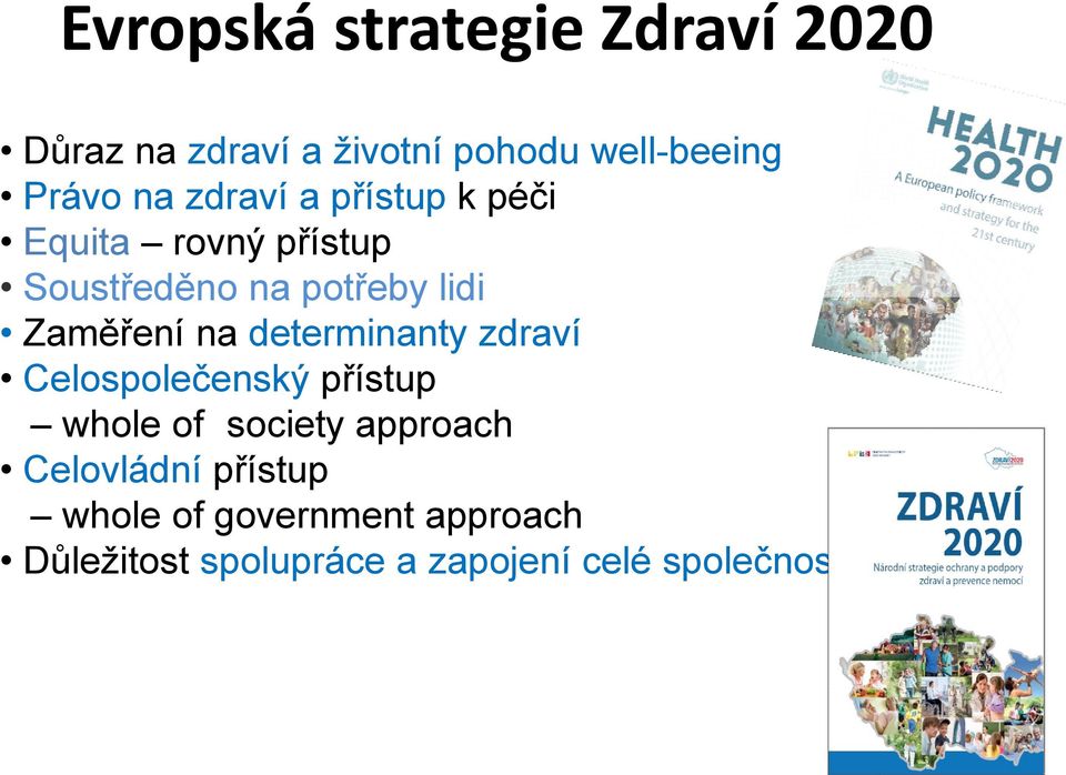 na determinanty zdraví Celospolečenský přístup whole of society approach Celovládní