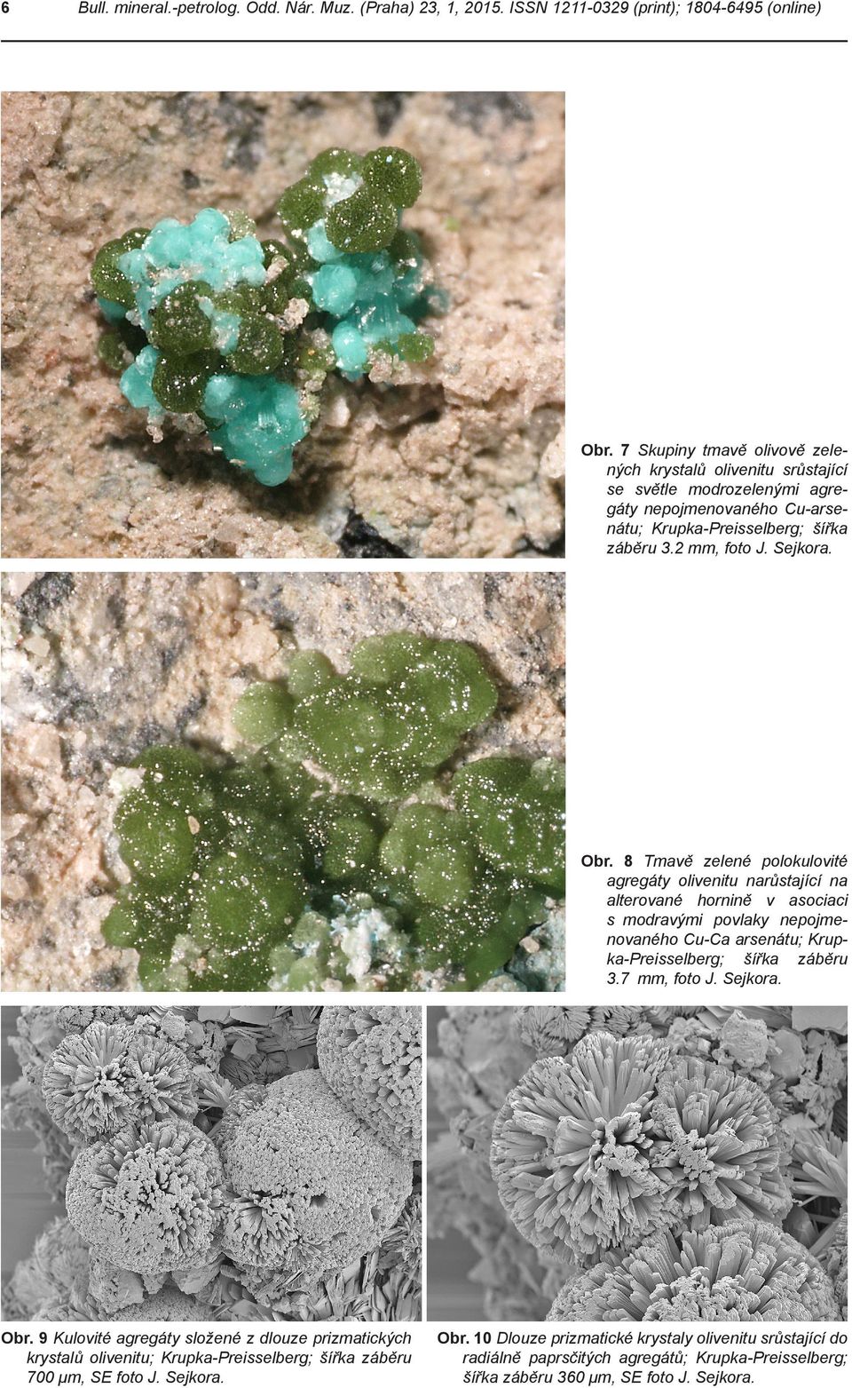 8 Tmavě zelené polokulovité agregáty olivenitu narůstající na alterované hornině v asociaci s modravými povlaky nepojmenovaného Cu-Ca arsenátu; Krupka-Preisselberg; šířka záběru.7 mm, foto J.
