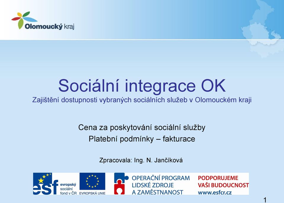 Cena za poskytování sociální služby Platební