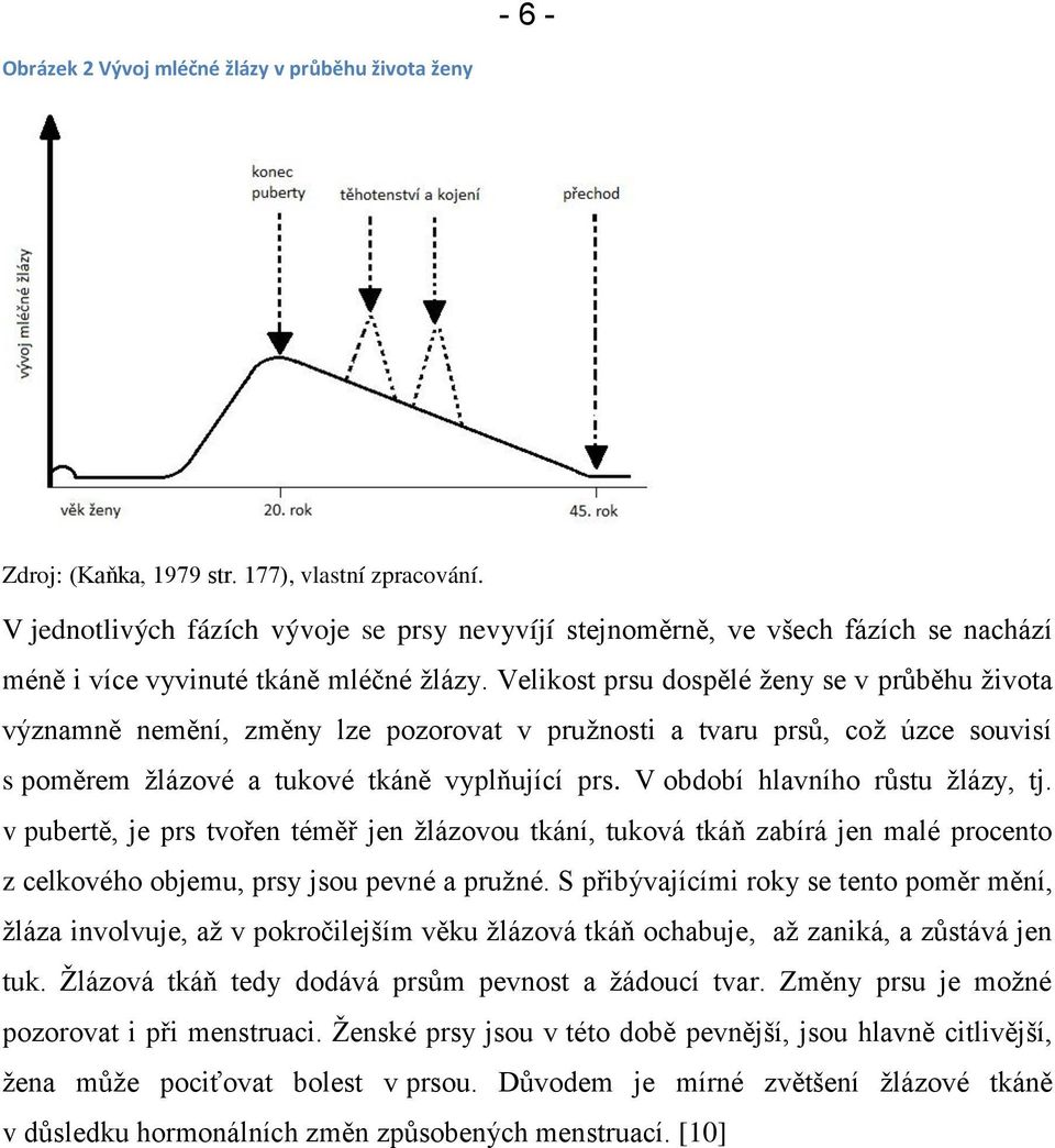 Velikost prsu dospělé ženy se v průběhu života významně nemění, změny lze pozorovat v pružnosti a tvaru prsů, což úzce souvisí s poměrem žlázové a tukové tkáně vyplňující prs.