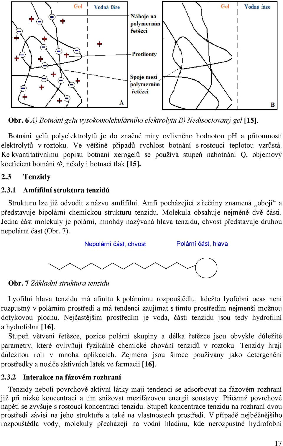 3 Tenzidy 2.3.1 Amfifilní struktura tenzidů Strukturu lze již odvodit z názvu amfifilní. Amfi pocházející z řečtiny znamená obojí a představuje bipolární chemickou strukturu tenzidu.