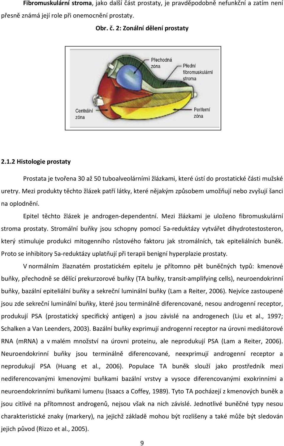Mezi produkty těchto žlázek patří látky, které nějakým způsobem umožňují nebo zvyšují šanci na oplodnění. Epitel těchto žlázek je androgen-dependentní.