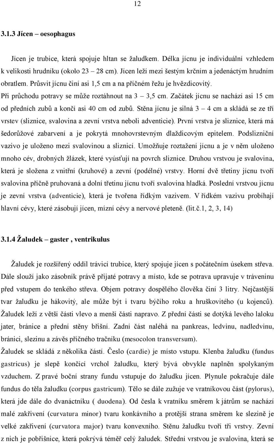 Začátek jícnu se nachází asi 15 cm od předních zubů a končí asi 40 cm od zubů. Stěna jícnu je silná 3 4 cm a skládá se ze tří vrstev (sliznice, svalovina a zevní vrstva neboli adventicie).