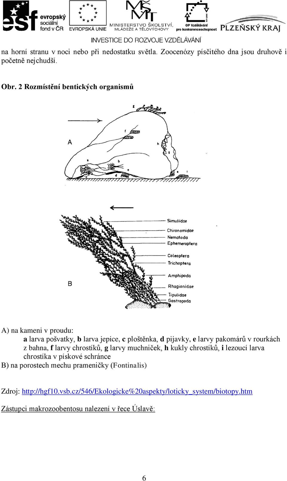 rourkách z bahna, f larvy chrostíků, g larvy muchniček, h kukly chrostíků, i lezoucí larva chrostíka v pískové schránce B) na porostech