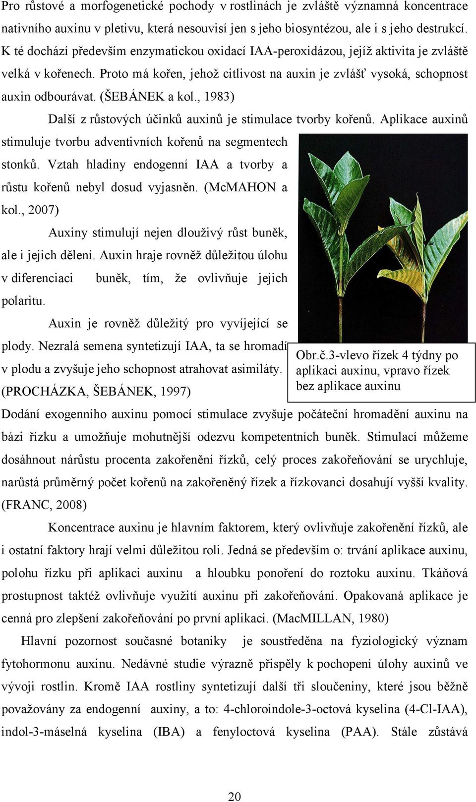 (ŠEBÁNEK a kol., 1983) Další z růstových účinků auxinů je stimulace tvorby kořenů. Aplikace auxinů stimuluje tvorbu adventivních kořenů na segmentech stonků.