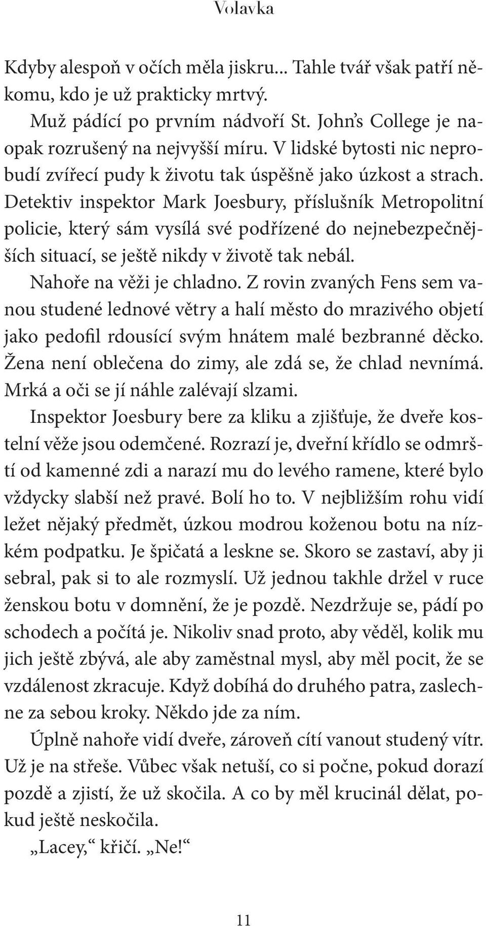 Detektiv inspektor Mark Joesbury, příslušník Metropolitní policie, který sám vysílá své podřízené do nejnebezpečnějších situací, se ještě nikdy v životě tak nebál. Nahoře na věži je chladno.