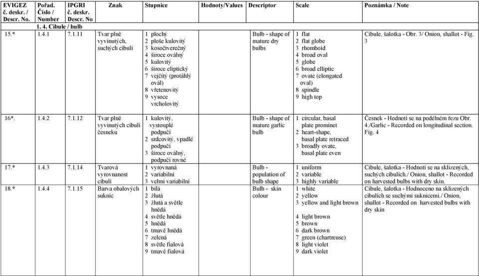high top Cibule, šalotka - Obr 3/ Onion, shallot - Fig 3 16* 142 7112 Tvar plně vyvinutých cibulí česneku 17* 143 7114 Tvarová vyrovnanost cibulí 18* 144 7115 Barva obalových suknic 1 kulovitý,