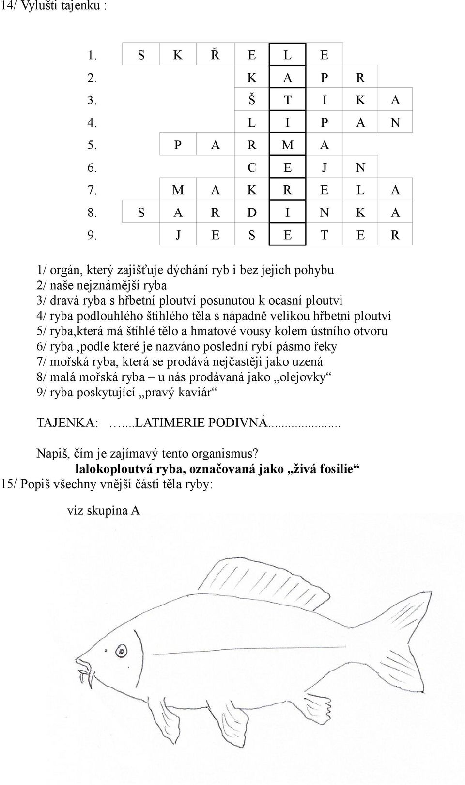 velikou hřbetní ploutví 5/ ryba,která má štíhlé tělo a hmatové vousy kolem ústního otvoru 6/ ryba,podle které je nazváno poslední rybí pásmo řeky 7/ mořská ryba, která se prodává nejčastěji jako