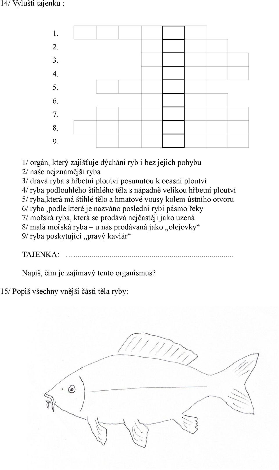 podlouhlého štíhlého těla s nápadně velikou hřbetní ploutví 5/ ryba,která má štíhlé tělo a hmatové vousy kolem ústního otvoru 6/ ryba,podle které je