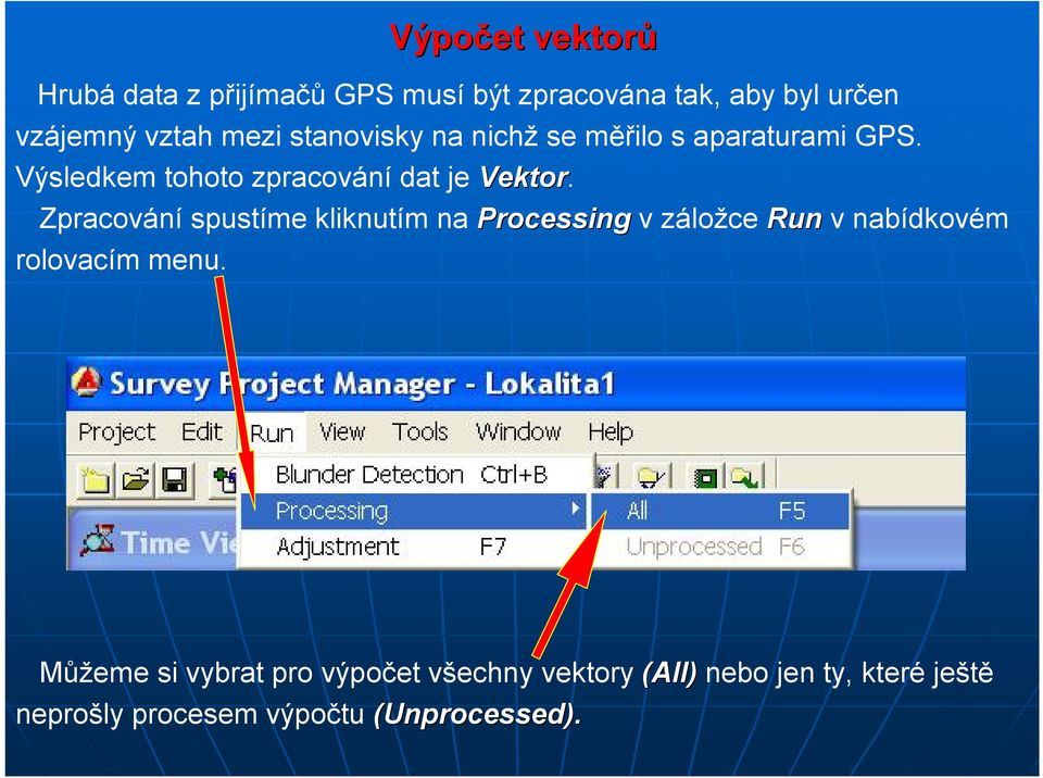 Zpracování spustíme kliknutím na Processing v záložce Run v nabídkovém rolovacím menu.