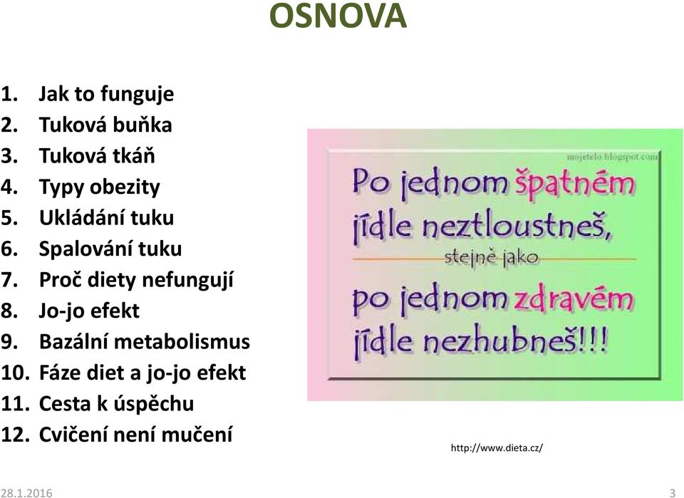 Proč diety nefungují 8. Jo-jo efekt 9. Bazální metabolismus 10.