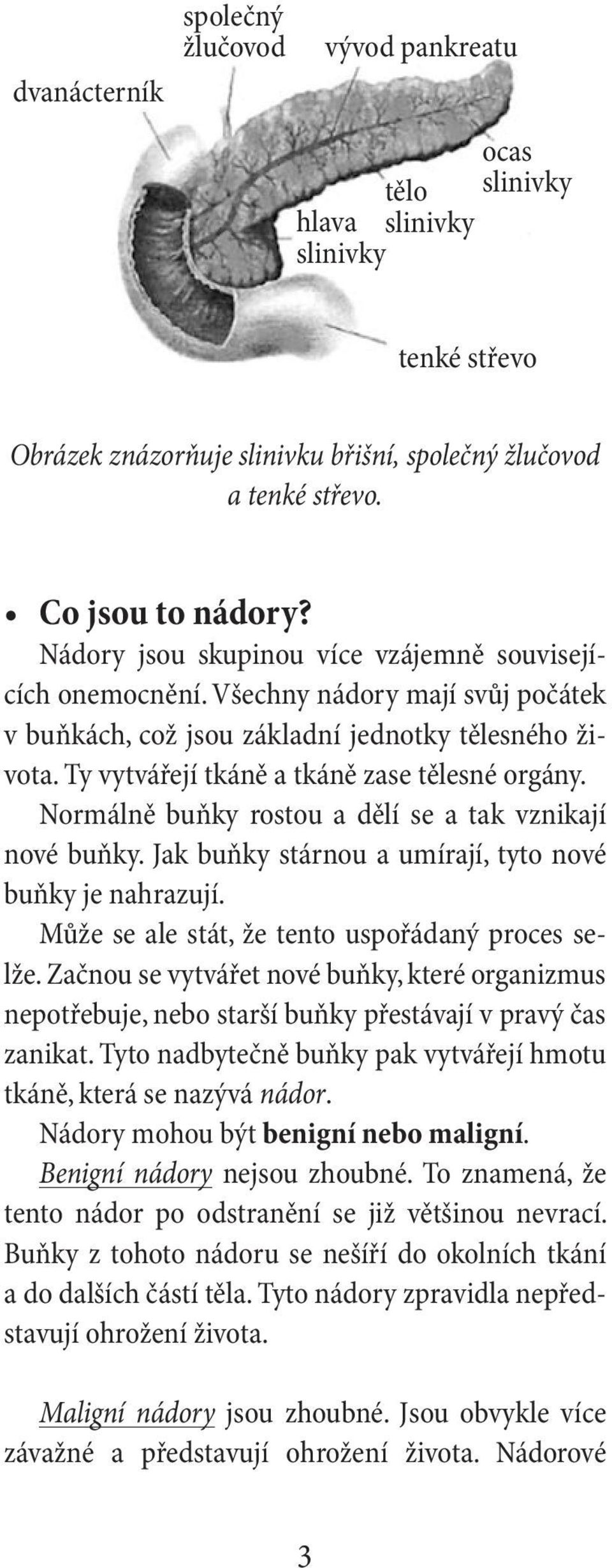 Normálně buňky rostou a dělí se a tak vznikají nové buňky. Jak buňky stárnou a umírají, tyto nové buňky je nahrazují. Může se ale stát, že tento uspořádaný proces selže.