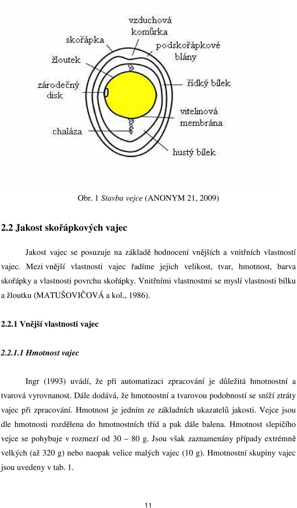 , 1986). 2.2.1 Vnější vlastnosti vajec 2.2.1.1 Hmotnost vajec Ingr (1993) uvádí, že při automatizaci zpracování je důležitá hmotnostní a tvarová vyrovnanost.