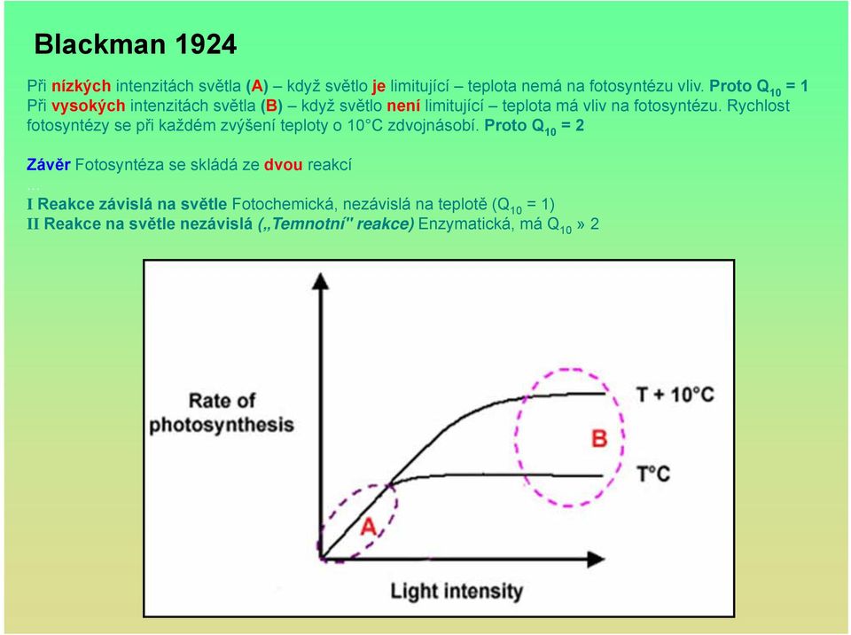 Rychlost fotosyntézy se při každém zvýšení teploty o 10 C zdvojnásobí.