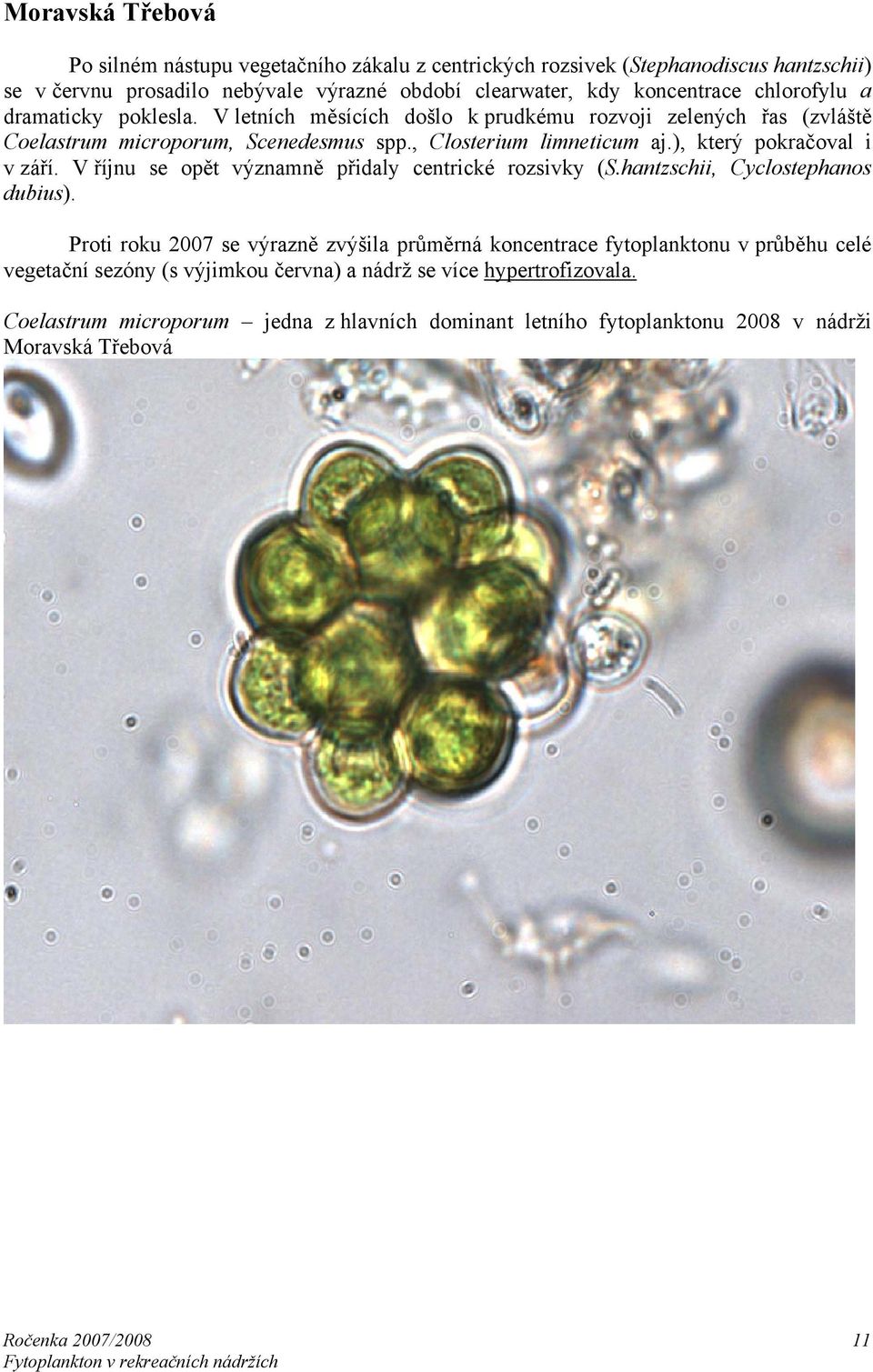 ), který pokračoval i v září. V říjnu se opět významně přidaly centrické rozsivky (S.hantzschii, Cyclostephanos dubius).