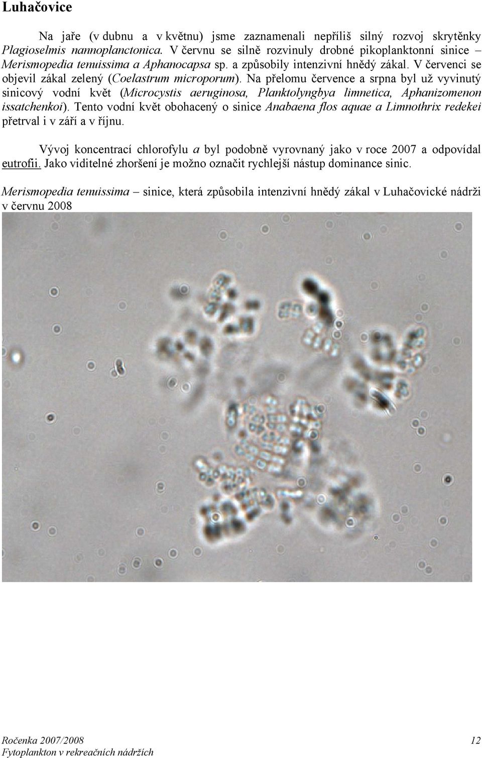 Na přelomu července a srpna byl už vyvinutý sinicový vodní květ (Microcystis aeruginosa, Planktolyngbya limnetica, Aphanizomenon issatchenkoi).