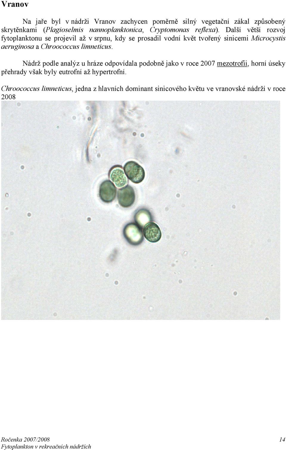 Další větší rozvoj fytoplanktonu se projevil až v srpnu, kdy se prosadil vodní květ tvořený sinicemi Microcystis aeruginosa a Chroococcus