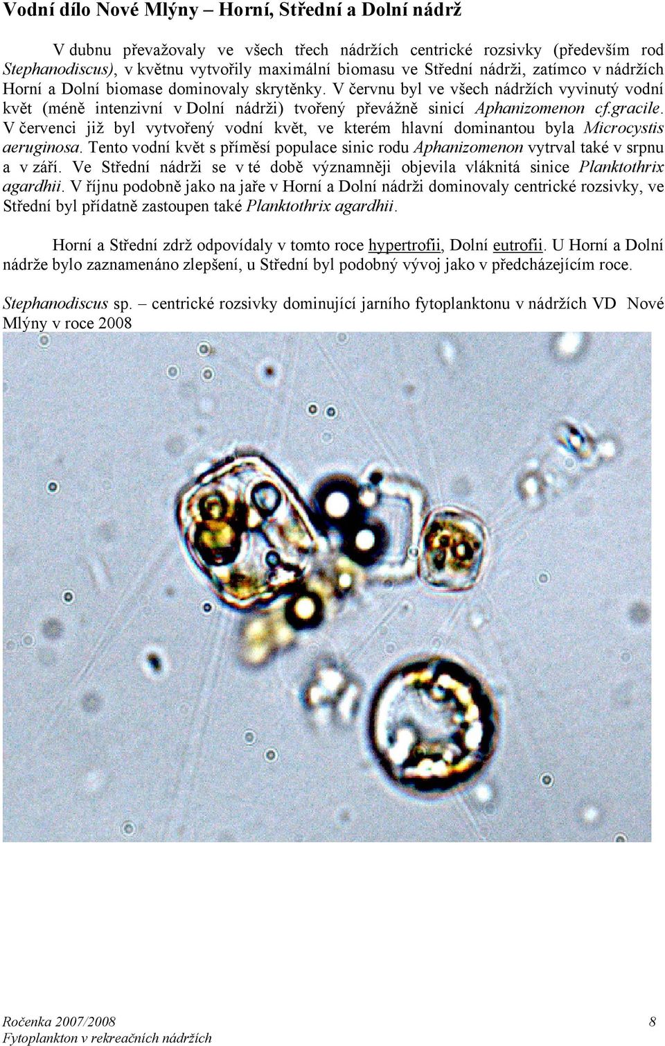 gracile. V červenci již byl vytvořený vodní květ, ve kterém hlavní dominantou byla Microcystis aeruginosa. Tento vodní květ s příměsí populace sinic rodu Aphanizomenon vytrval také v srpnu a v září.