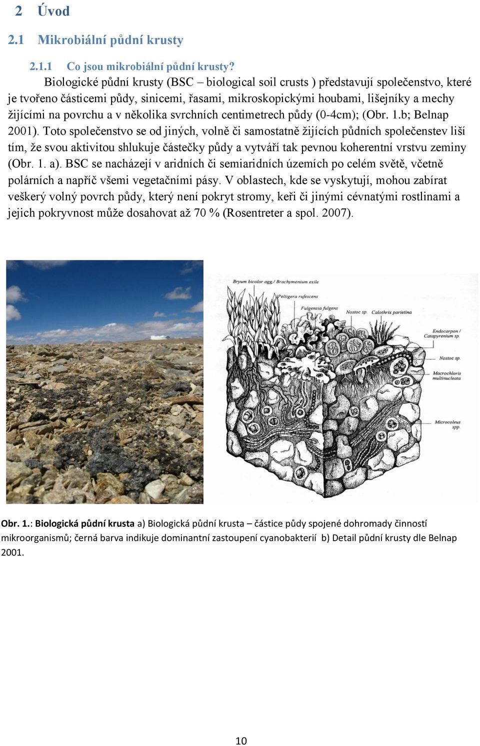 několika svrchních centimetrech půdy (0-4cm); (Obr. 1.b; Belnap 2001).