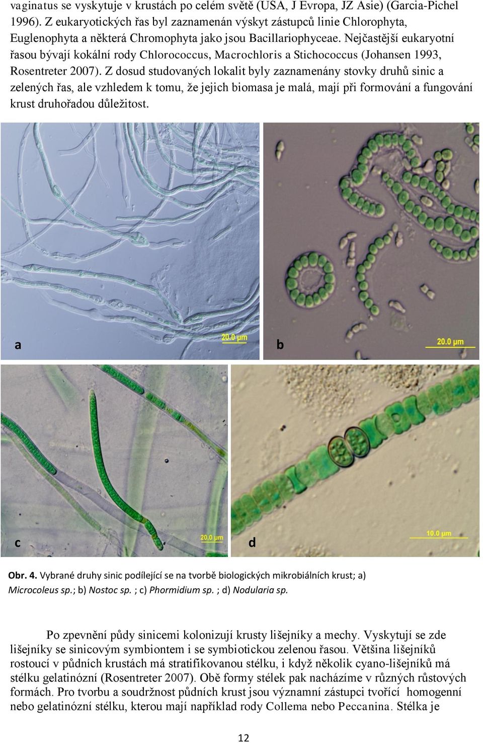 Nejčastější eukaryotní řasou bývají kokální rody Chlorococcus, Macrochloris a Stichococcus (Johansen 1993, Rosentreter 2007).