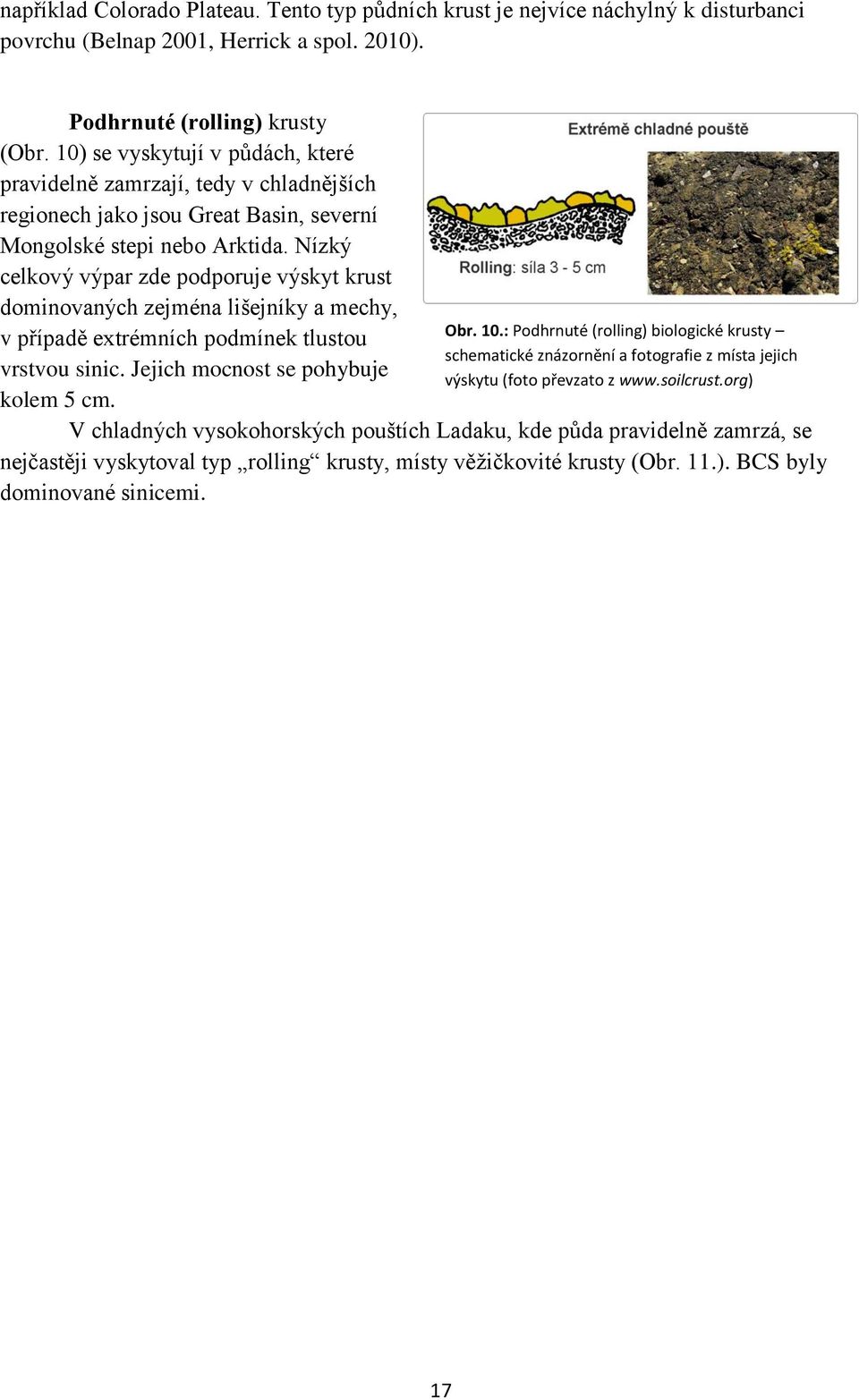 Nízký celkový výpar zde podporuje výskyt krust dominovaných zejména lišejníky a mechy, v případě extrémních podmínek tlustou vrstvou sinic. Jejich mocnost se pohybuje kolem 5 cm. Obr. 10.