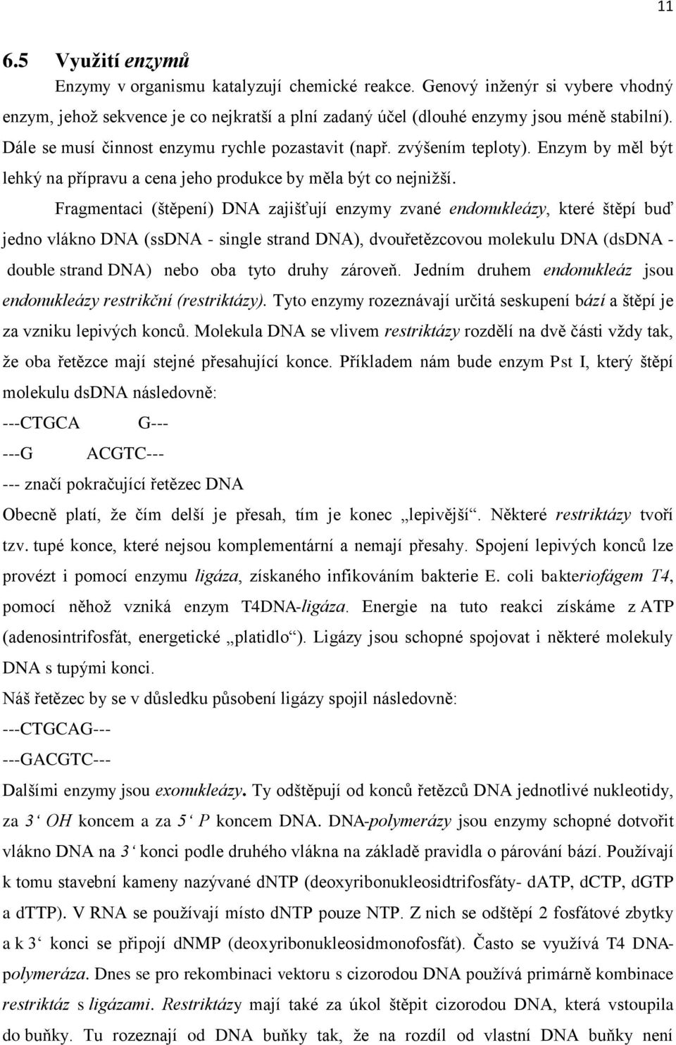 Fragmentaci (štěpení) DNA zajišťují enzymy zvané endonukleázy, které štěpí buď jedno vlákno DNA (ssdna - single strand DNA), dvouřetězcovou molekulu DNA (dsdna - double strand DNA) nebo oba tyto
